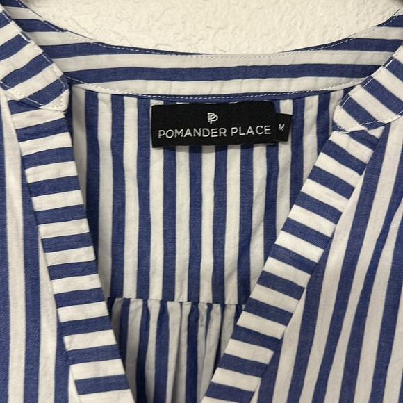 Pomander Place Tuckernuck Blue White Stripe Sleeveless Cotton Poplin Kenzo Dress - Picture 6 of 11